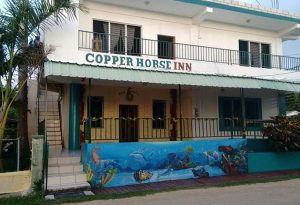 Copper-Horse-Lounge